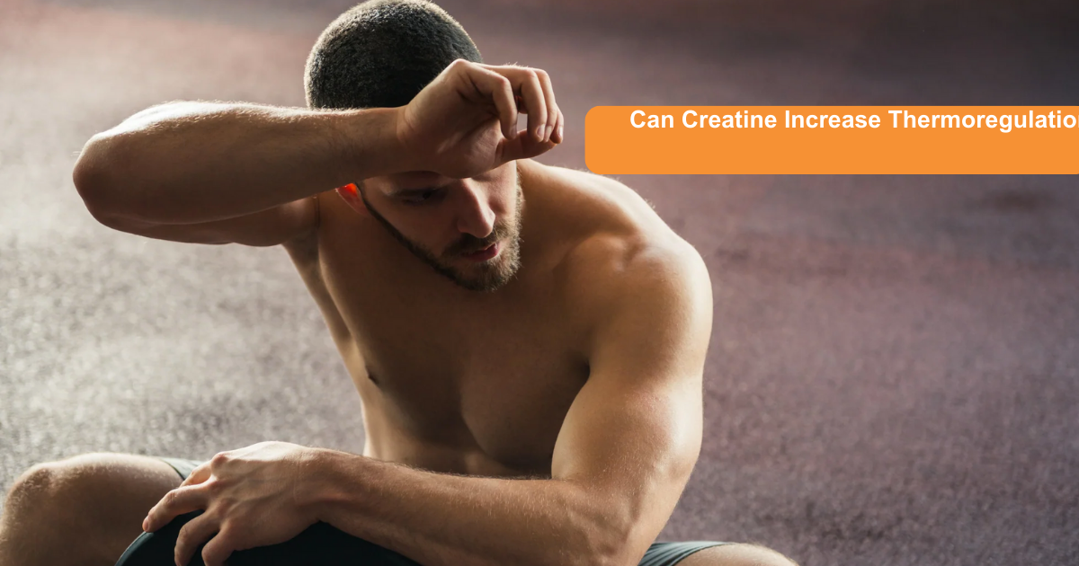 Can Creatine Increase Thermoregulation? A Look At The Facts