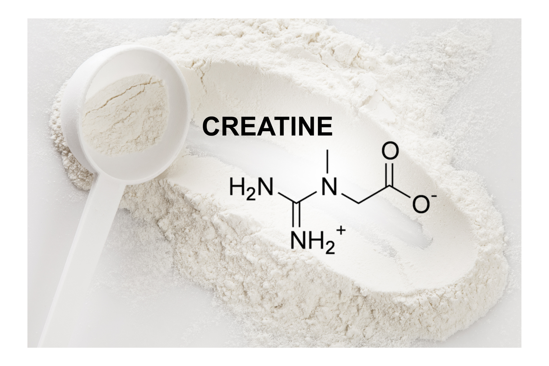 Unraveling The Puzzle: Exploring Creatine Monohydrate Structure