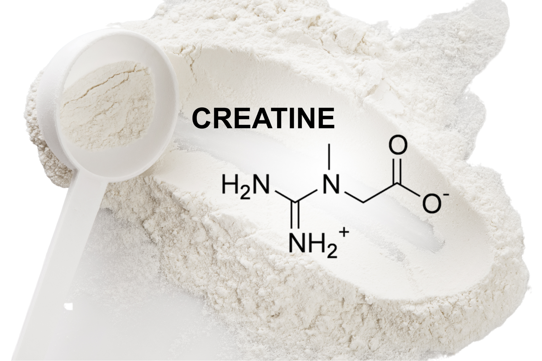 What Is Creatine Monohydrate & How Does It Work?