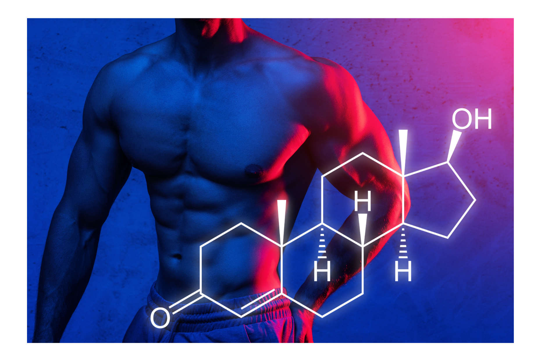 Does Creatine Monohydrate Increase Testosterone: Statistics